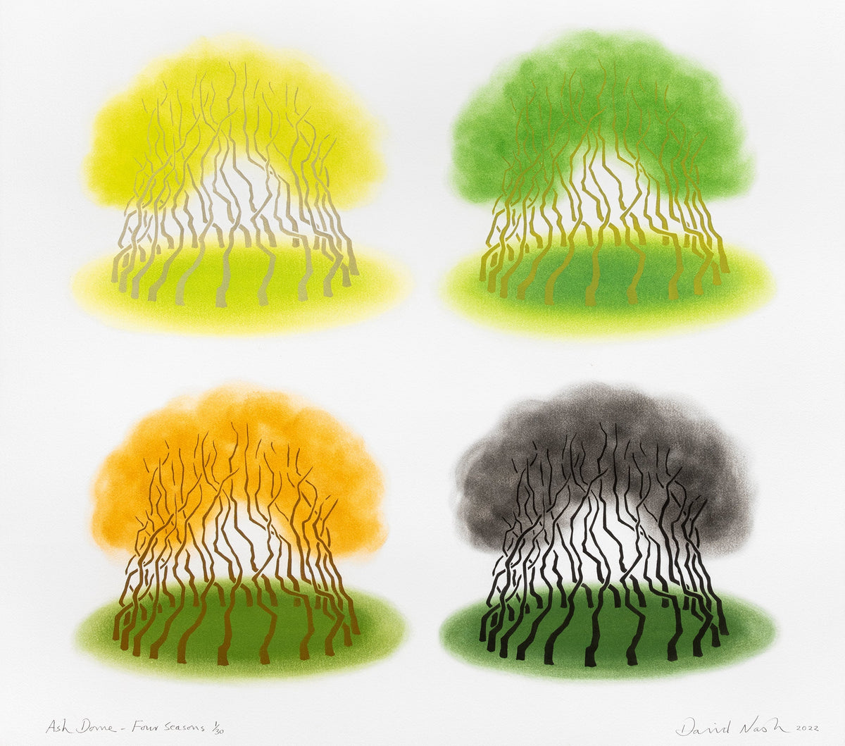 David Nash