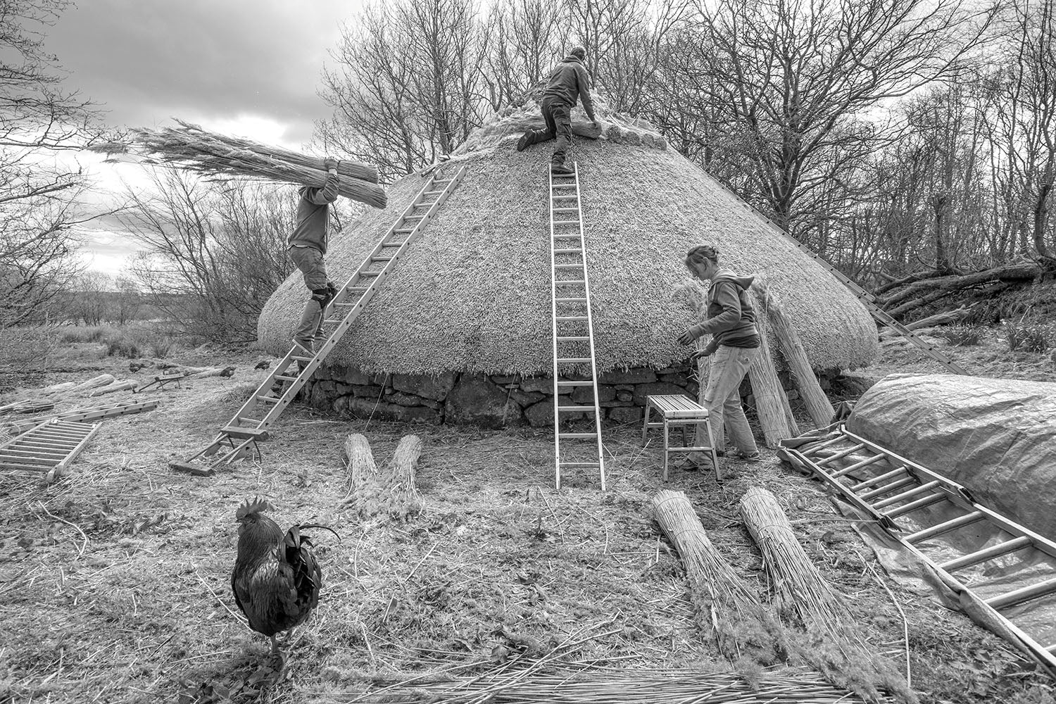 TALK: Hallowed Earth: A Lifetime of Photography, Talk with Chris Chapman