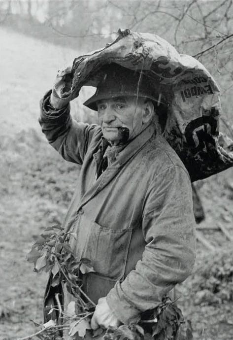 Major exhibition ‘An English Eye’ by James Ravilious acquired by the B