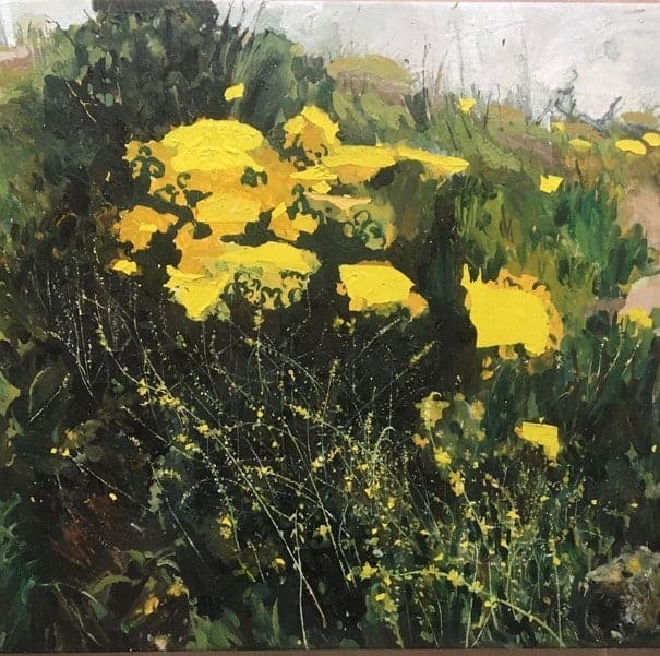 Frances Gynn - Plastic in the Landscape