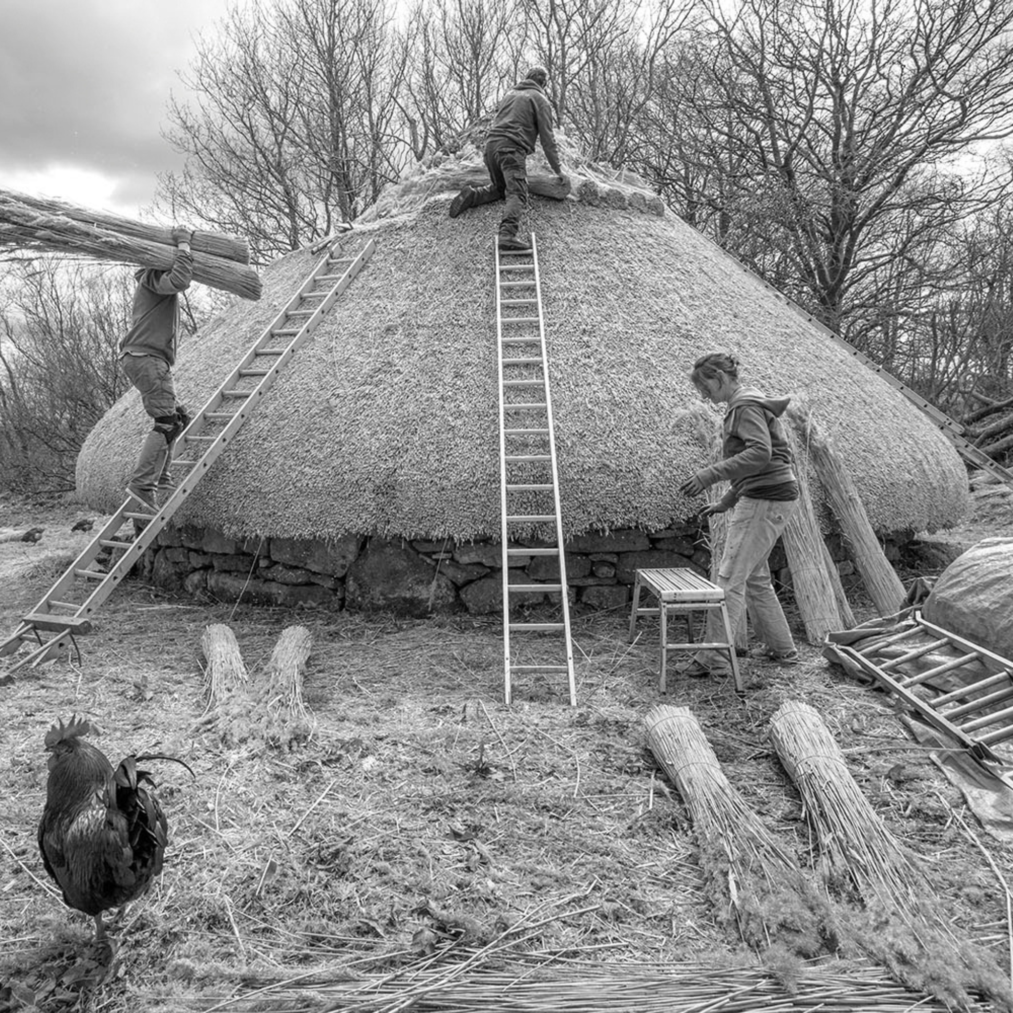 A Photographic Friendship: James Ravilious and Chris Chapman