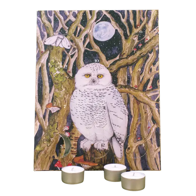 12 Days of Christmas Advent Calendar - Snowy Owl