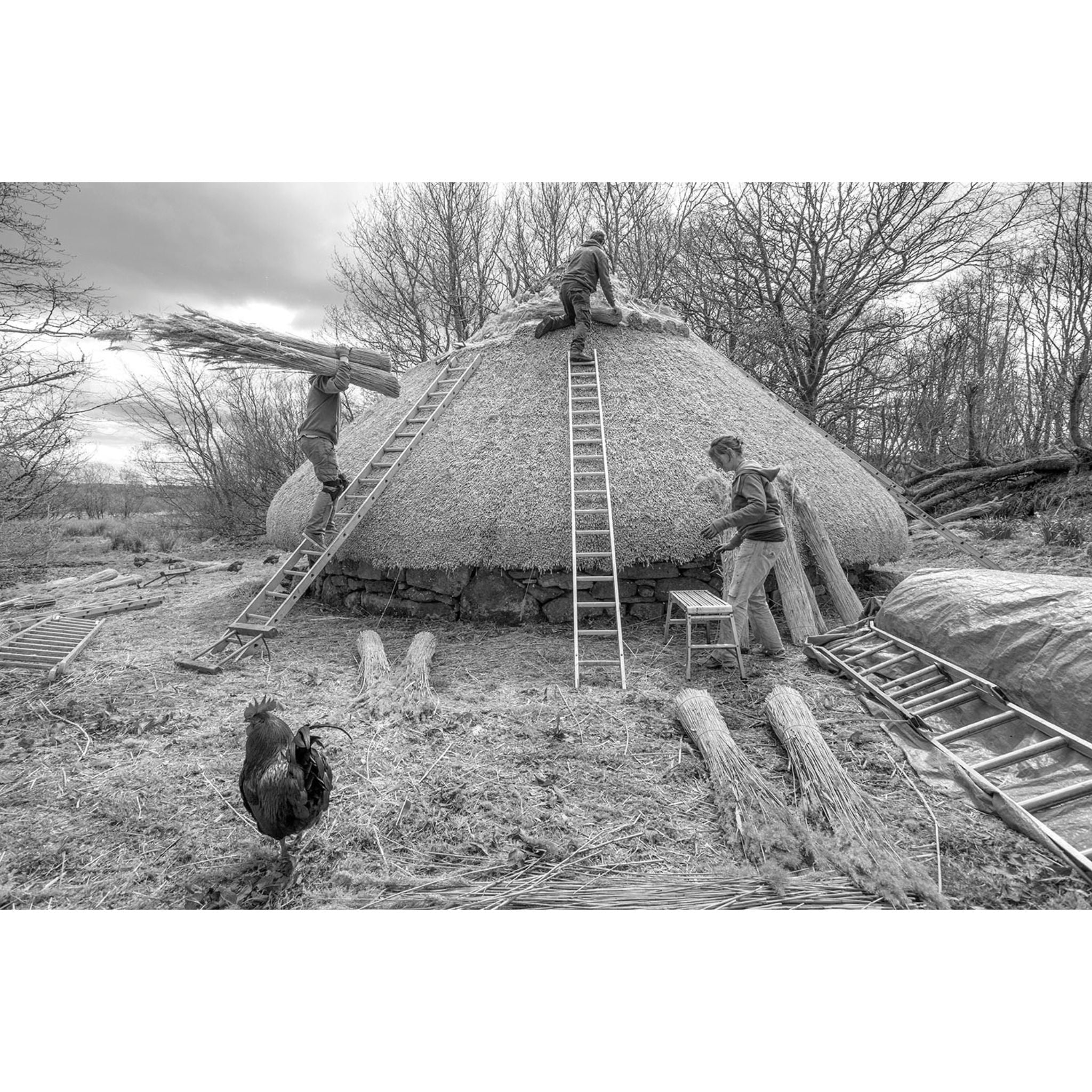 TALK: Hallowed Earth: A Lifetime of Photography, Talk with Chris Chapman