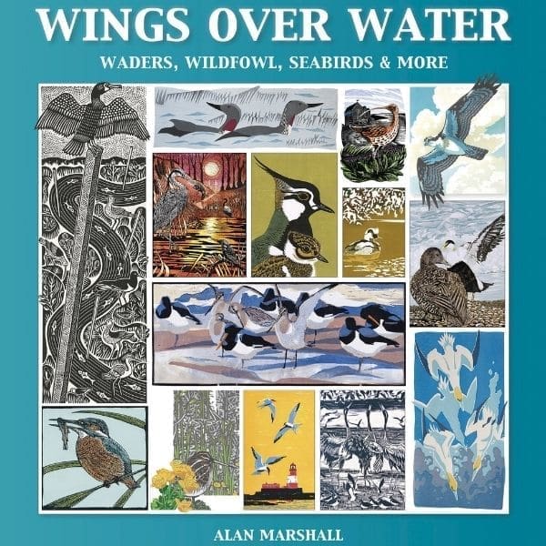 cover of Wings over Water book