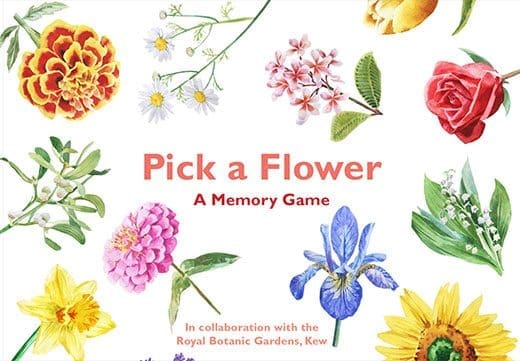 Pick a flower memory game