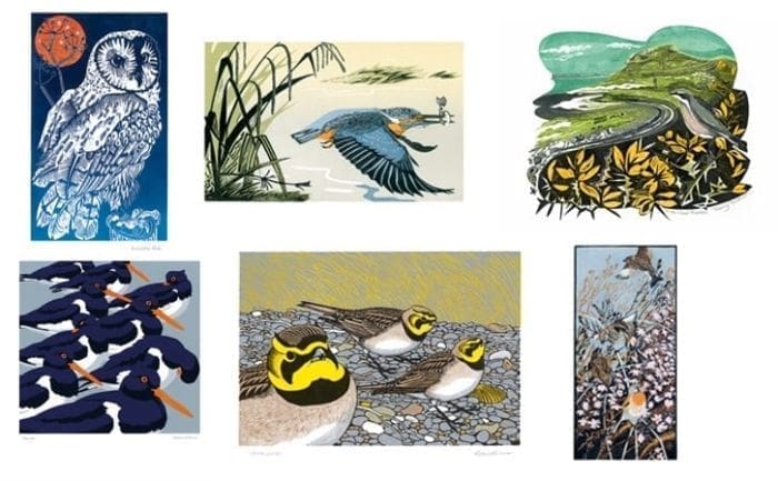 Printmakers - Card Bundle - Birds