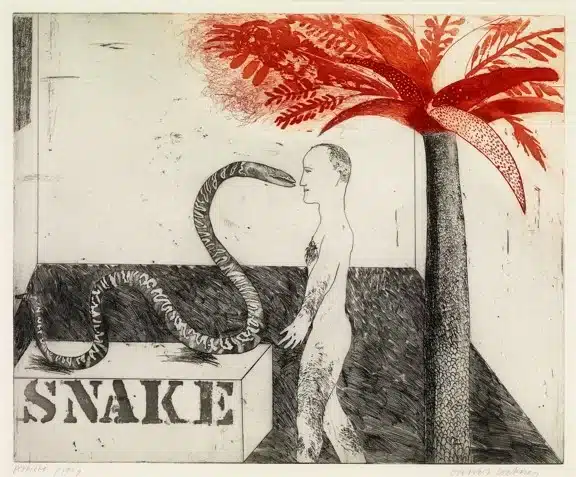 David Hockney (b. 1937) Jungle Boy, 1964, Etching and aquatint in black and red on mould-made paper, © David Hockney. Photo Credit: Richard Schmidt