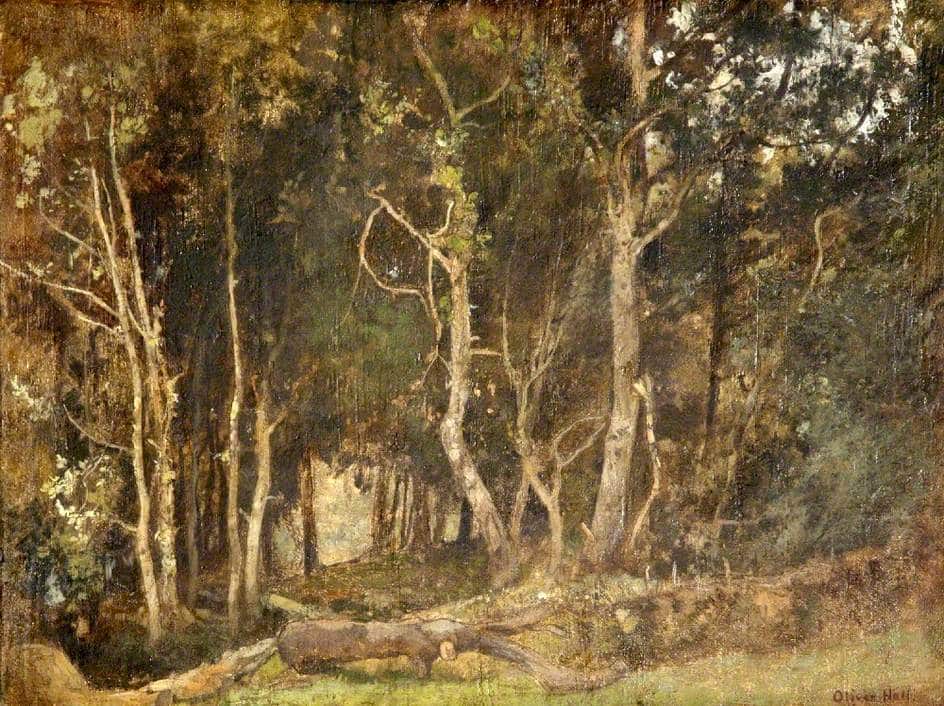 Painting of a woodland featuring oak trees from the Burton at Bideford's Permanent Collection of art.