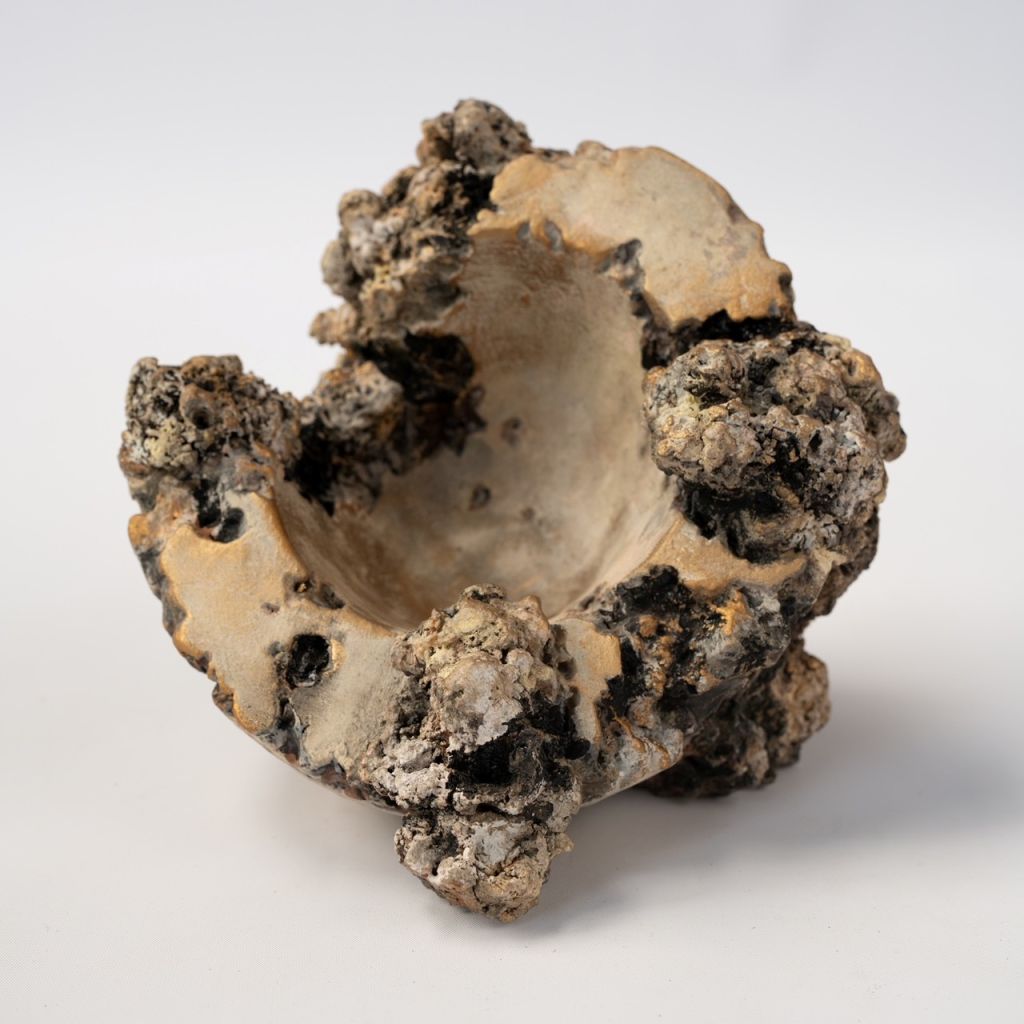 Photograph of a sculpted clay hemisphere form with irregular organic matter emerging from form