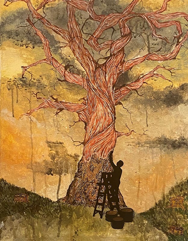 Tree image by Ursula Corbett from Bideford College. A level art piece submitted for Annual Schools Exhibition at the Burton at Bideford Art Gallery and Museum