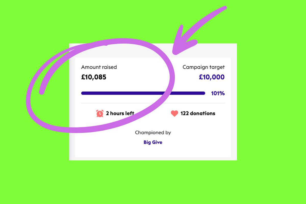 Screenshot of Big Give website page showing fundraising total circled in lilac