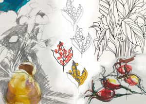 Page of plant drawings in pencil and pen and paint