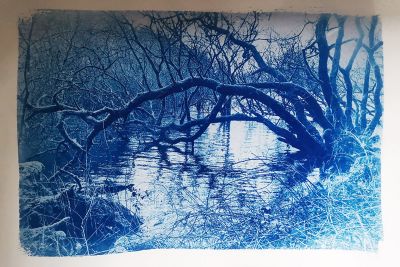 photo of tree over a river created with analogue technique