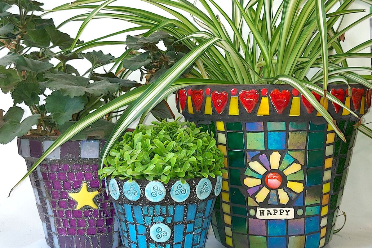 Picture of three Mosaic Plant Pots with plants inside