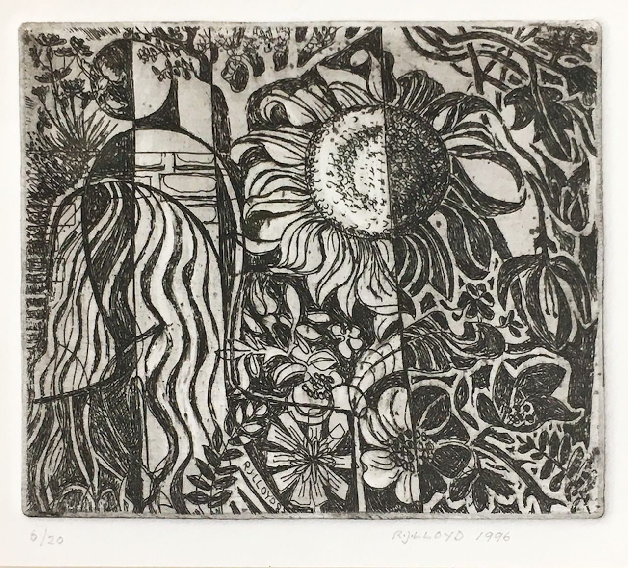 Sunflower, R.J Lloyd, 1996